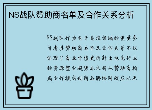 NS战队赞助商名单及合作关系分析